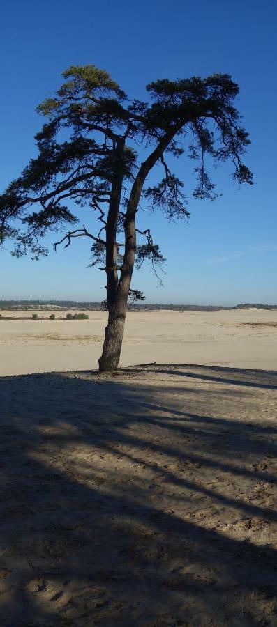 B&B Achterom Loon op Zand Exterior foto